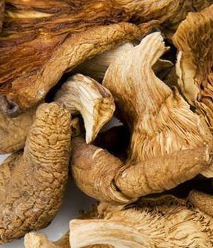 শুকনা মাশরুম